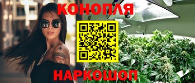 тгк Камышлов