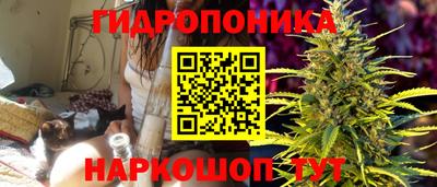 прущие грибы Кандалакша