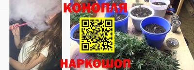 прущие грибы Кандалакша