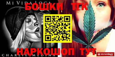 тгк Камышлов