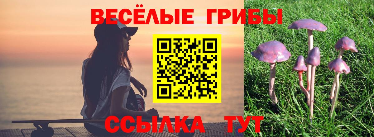 Псилоцибиновые грибы мицелий Феодосия